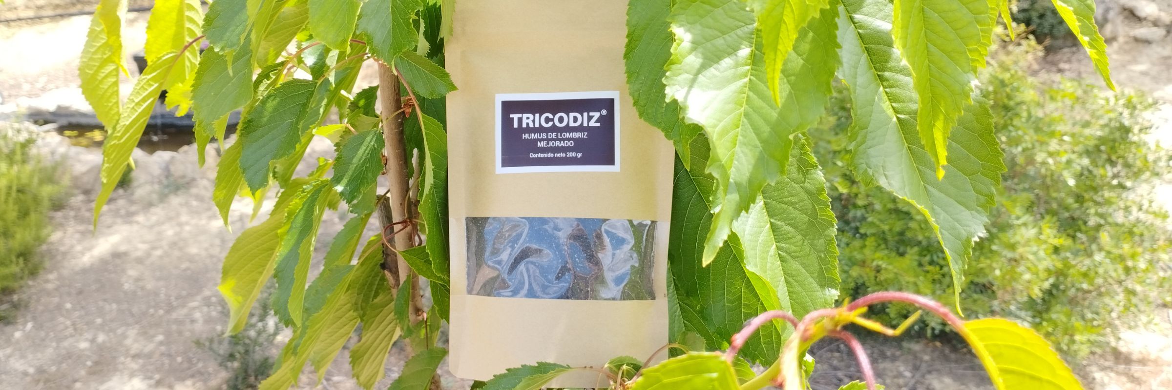 abono-ecologico-tricodiz- 2