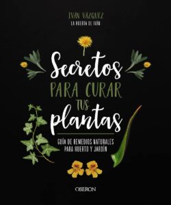 Secretos para curar tus plantas